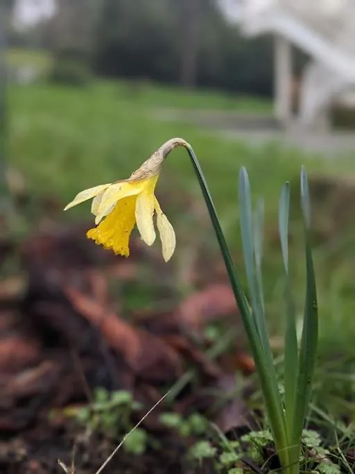 Appartamento Le Stagioni Del Parco Carteria di Sesto Rastignano