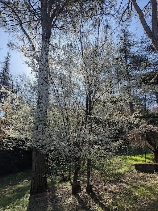 Appartamento Le Stagioni Del Parco Carteria di Sesto Rastignano